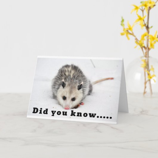 WIR KÖNNEN WISSEN, WIE MAN PARTY - JA, WIR TUN! KARTE (Gelbe Blume)