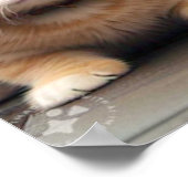 Wir leben zusammen, Funny Cat+Dog Poster (Ecke)