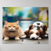 Wir leben zusammen, Funny Cat+Dog Poster (Vorne)