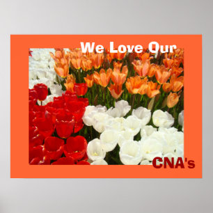 Wir Liebe die Plakate unserer DOSE orange