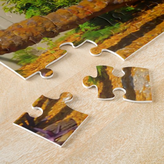 Wir Liebe Old School House St. Augustine Florida J Puzzle (Seite)