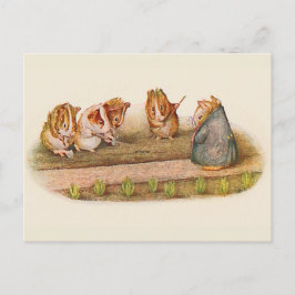 Wir Liebe unser kleines Gartenschwein Postkarte