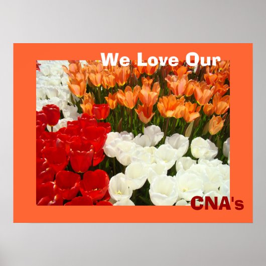 Wir Liebe Unsere CNA-Poster Orange Tulip-Blume Poster (Vorne)