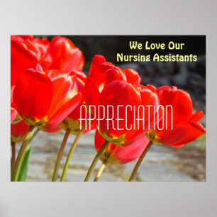 Wir Liebe unsere Krankenpflege-Assistentenplakat Poster
