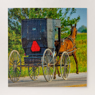 Wir lieben Amish-Kutschen in Iowa. Puzzle
