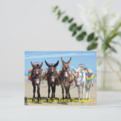 Wir machen Liebe, neben den Donkey-Touren am Meer Postkarte (Stehend Vorderseite)