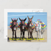 Wir machen Liebe, neben den Donkey-Touren am Meer Postkarte (Vorne/Hinten)