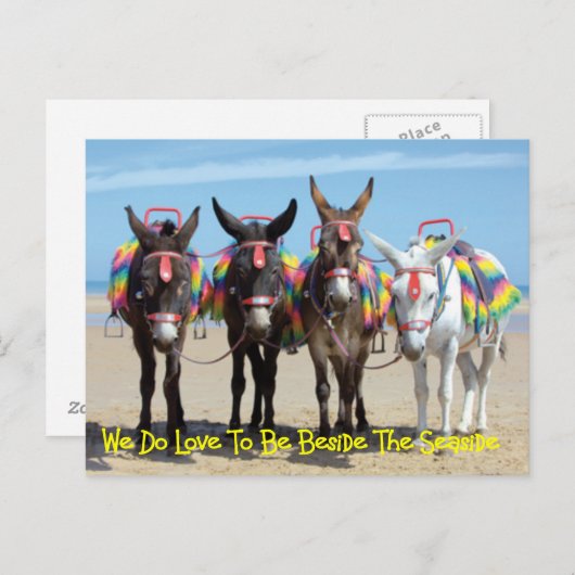 Wir machen Liebe, neben den Donkey-Touren am Meer Postkarte (Vorne/Hinten)