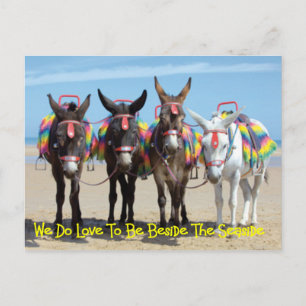 Wir machen Liebe, neben den Donkey-Touren am Meer  Postkarte