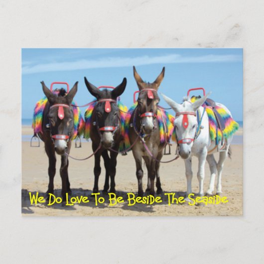 Wir machen Liebe, neben den Donkey-Touren am Meer Postkarte (Vorderseite)