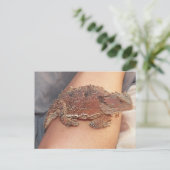 Wir nannten die Horned Toad: Ho'Dee Towd... Kathy( Postkarte (Stehend Vorderseite)