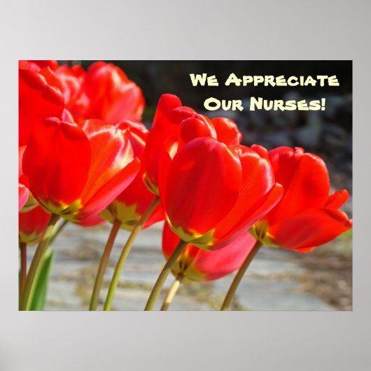 Wir schätzen unsere Krankenschwestern! Kunstdrucke Poster (Vorne)