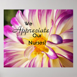 Wir schätzen unsere Nurses-Plakate, die Nurse RN d Poster