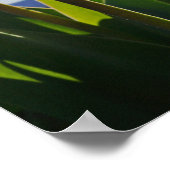 Wir schätzen unsere wunderbaren Nurses-Plakate-Dru Poster (Ecke)