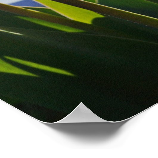 Wir schätzen unsere wunderbaren Nurses-Plakate-Dru Poster (Ecke)