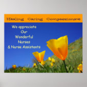 Wir schätzen wunderbare Krankenschwestern CNAs Pfl Poster (Vorne)