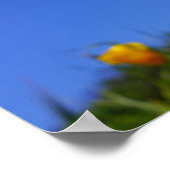 Wir schätzen wunderbare Krankenschwestern CNAs Pfl Poster (Ecke)