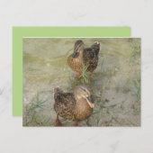 Wir schicken Ihnen eine freundschaftliche Quackkar Postkarte (Vorne/Hinten)