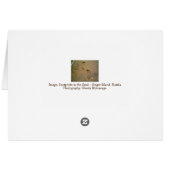 Wir schicken Sand nicht Schnee - Fußabdrücke im Sa (Rückseite Horizontal)