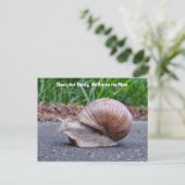 Wir schnarchen auf der Postkarte (Stehend Vorderseite)