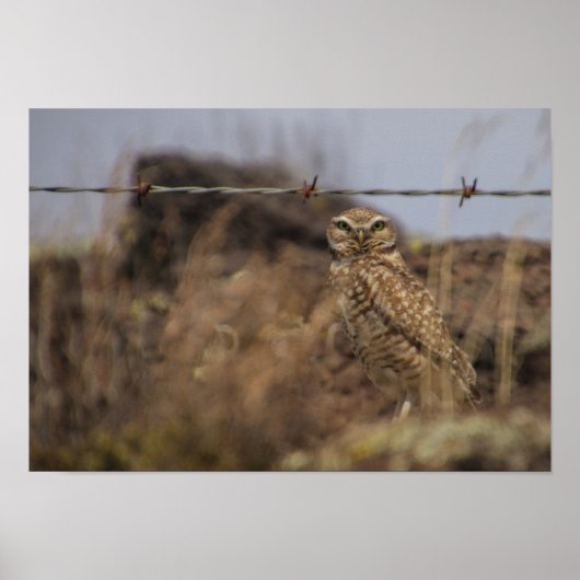 Wir sehen dich! poster (Vorne)