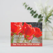 Wir sehen uns im OPEN HOUSE! Postkarten Tulip Blum (Stehend Vorderseite)