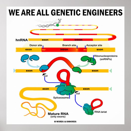 Wir sind alle Gentechniker (Gene Splicing) Poster (Vorne)