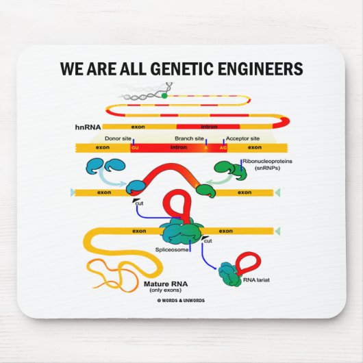 Wir sind alle Gentechniker (RNA Splicing) Mousepad (Vorne)