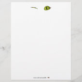 Wir sind alle hier. flyer (Hinten)