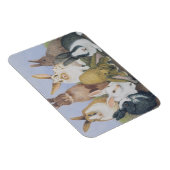 Wir sind alle Ohren Magnet (Rechte Seite)