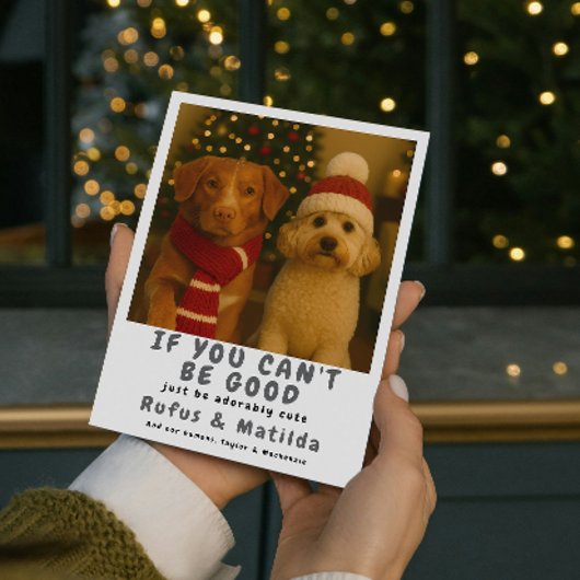 Wir sind auf der Naughty List Hund Weihnachten Fot