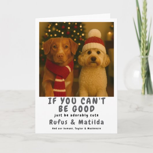 Wir sind auf der Naughty List Hund Weihnachten Fot (Vorderseite)