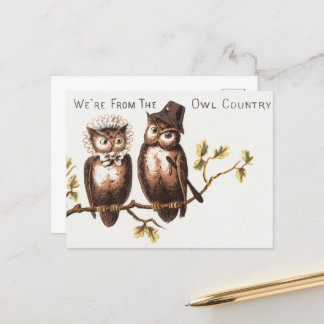 Wir sind aus dem Owl Country: Chromolithograph Art Postkarte