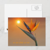 Wir sind das, was wir essen postkarte (Vorne/Hinten)