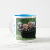 Wir sind die letzten vier Mini-Schweine Zweifarbige Tasse (Vorderseite Links)