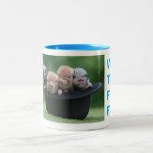 Wir sind die letzten vier Mini-Schweine Zweifarbige Tasse (Mittel)