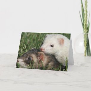 Wir sind Freunde. Schlafende Freunde Frettchen Feiertagskarte