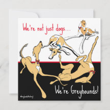 Wir sind Greyhounds! Schwarz, weiß und rot.