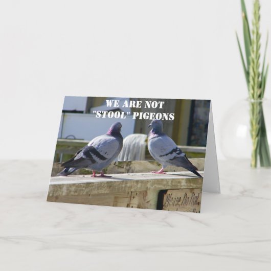 WIR SIND KEINE STOOLPIGEONEN KARTE (Vorderseite)