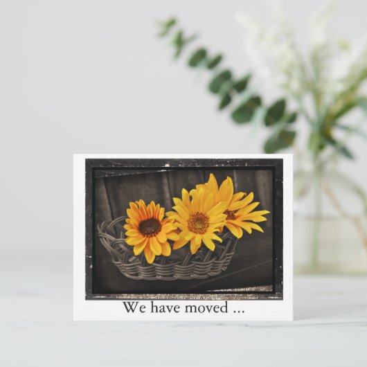 Wir sind mit Sonnenblumen umgezogen Neue Adresse Ankündigungspostkarte (Stehend Vorderseite)