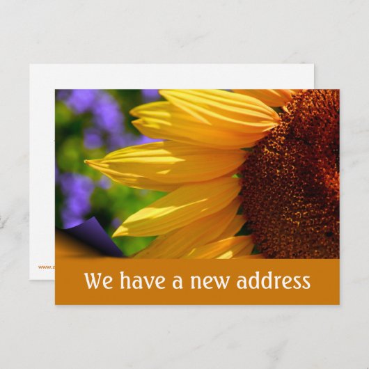 Wir sind mit Sonnenblumen umgezogen Neue Adresse Ankündigungspostkarte (Vorne/Hinten)