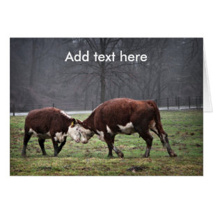 Wir sind Moooooving…