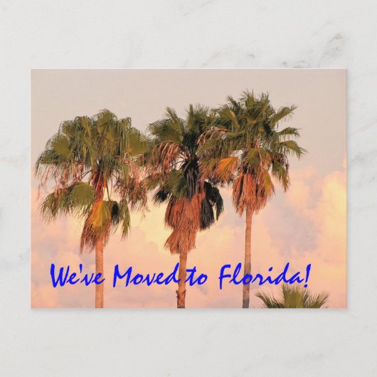 Wir sind nach Florida Post Card umgezogen Ankündigungspostkarte (Vorderseite)