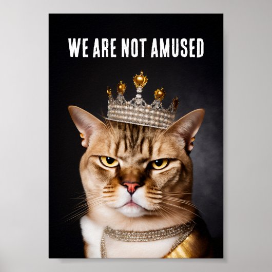 Wir sind nicht erstaunt, wie eine königliche graue poster (Vorne)