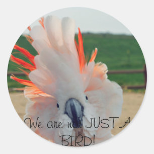 Wir sind nicht GERADE EIN VOGEL! Runder Aufkleber