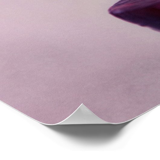 ~Wir sind nicht mehr als Kerzen, die im Wind brenn Poster (Ecke)