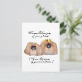 Wir sind Pekingese Postkarte (Stehend Vorderseite)