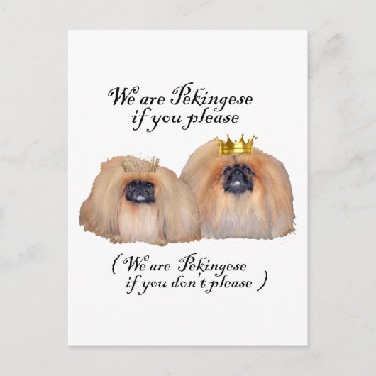 Wir sind Pekingese Postkarte (Vorderseite)