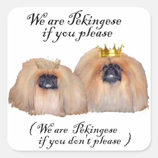 Wir sind Pekingese Quadratischer Aufkleber (Vorderseite)