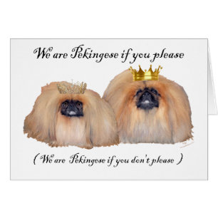 Wir sind Pekingesen